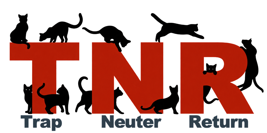 TNR — Trap Neuter Return